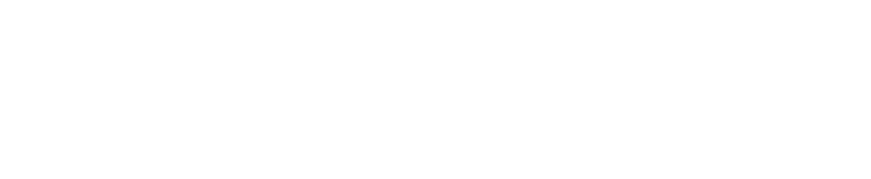Buildwise Consulting Logo